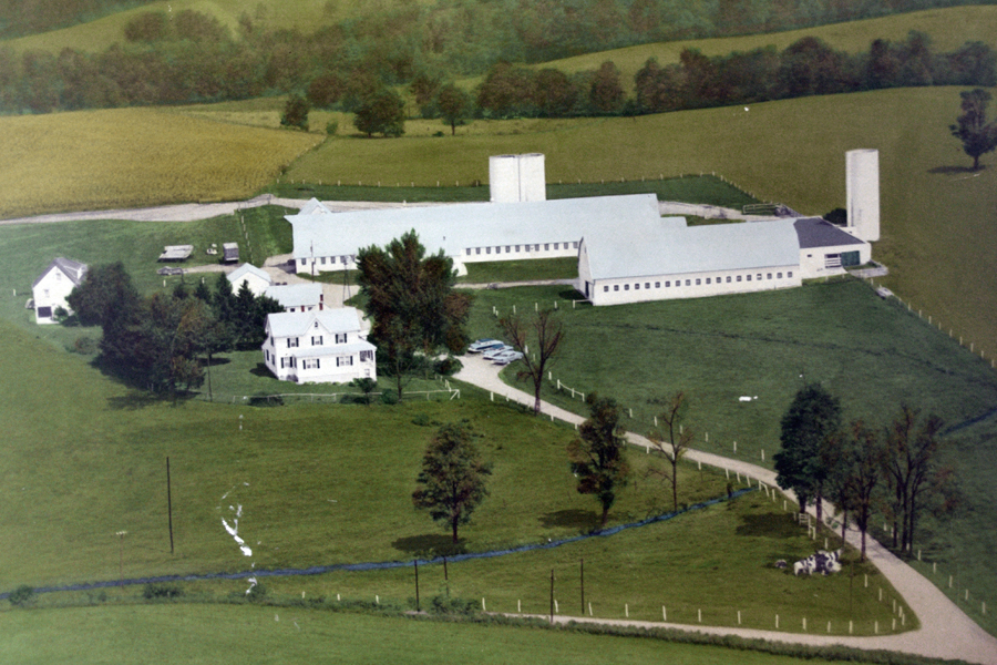 Farm 252 King Barn Dairy Mooseum